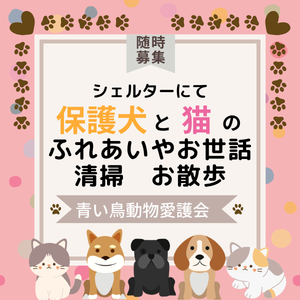 メルマガサイズ (5).png
